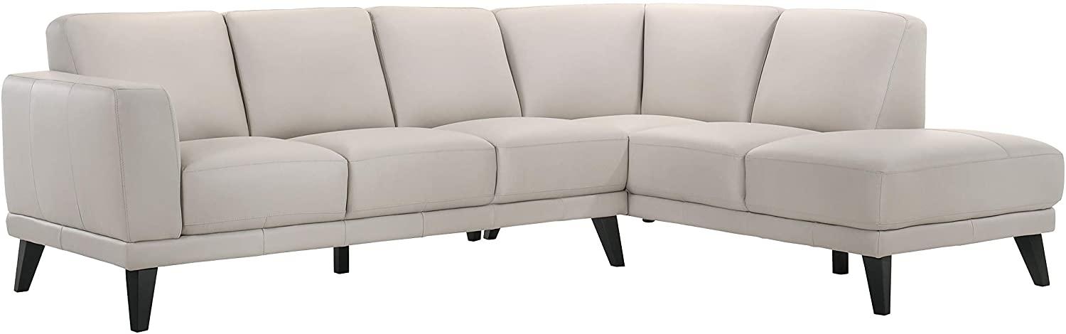 100 Percent Top GRain Leather Sectional Sofa Chaise in Gray Mist